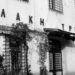 Crime diaries: Μια Σφαγή, Ένα Τραγούδι: Η Αληθινή Ιστορία του Σακαφλιά